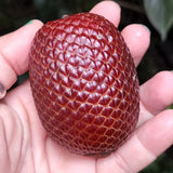 Buriti Liofilizado 25g -Dried Buriti 25g - Culinary Culture Connections